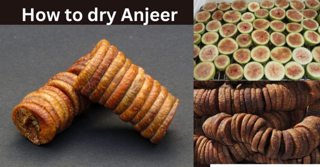 how to dry anjeer