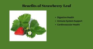 Benefits of Strawberry Leaf 