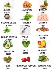 Vitamin E-Rich Foods for Vegetarians Maximizing Health Benefits