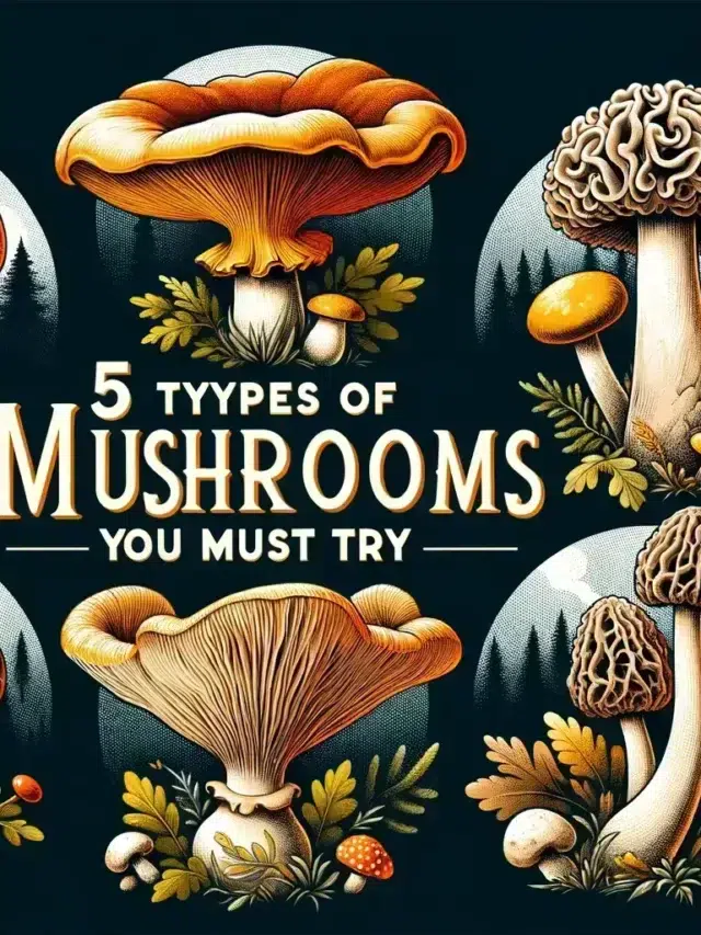 5 types of mushrooms that you might want to consider trying