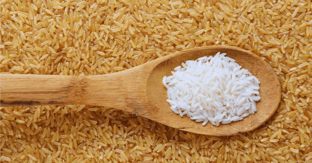 Use of Rice Top 6 health benefits of rice and downsides of rice in our daily lives
